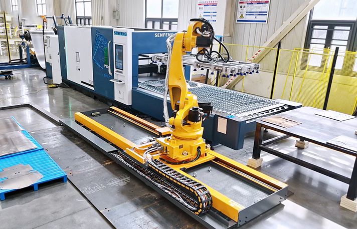 Laser Sorting Automation